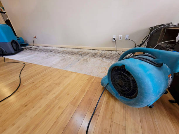 Professional Structural Drying technician working in Hollywood, FL